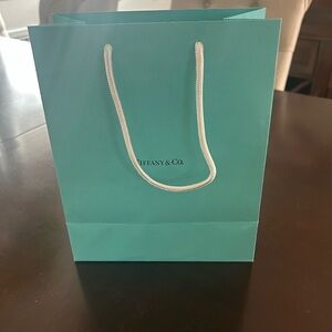 Tiffany & Co. Turquoise Shopping Bag-Large